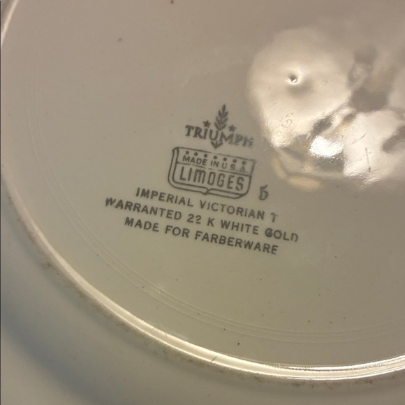 Triumph Silver and Cream Floral Serveware Plate - Picture 2 of 2